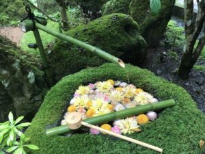 京都府の花手水のブログ画像