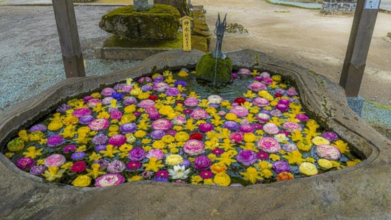 嵐山瀧神社の花手水