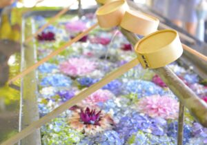 福岡県の花手水のブログ画像