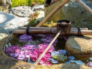 正寿院の花手水
