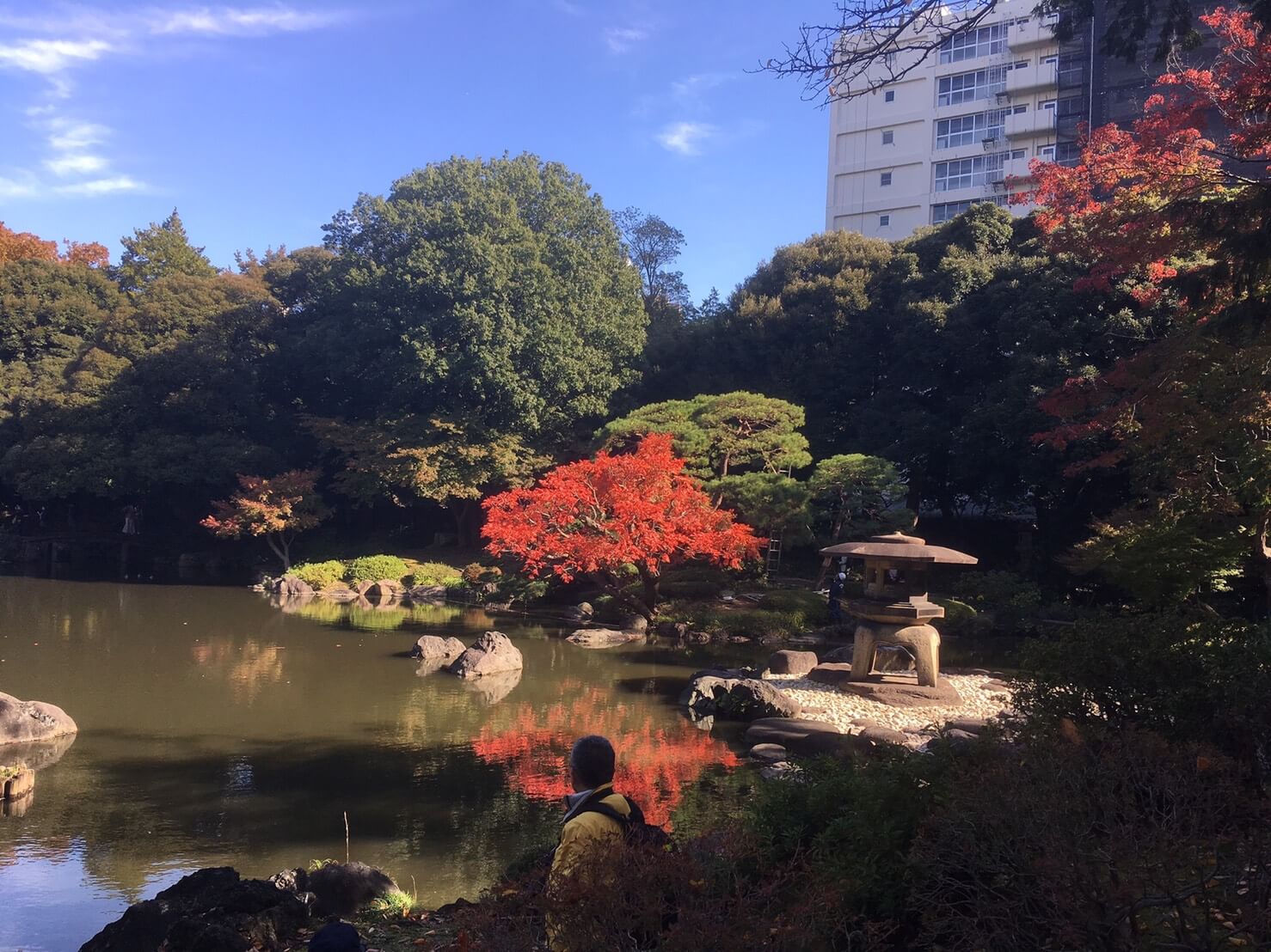 旧古河庭園の紅葉のブログ画像