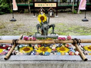 報徳二宮神社の花手水