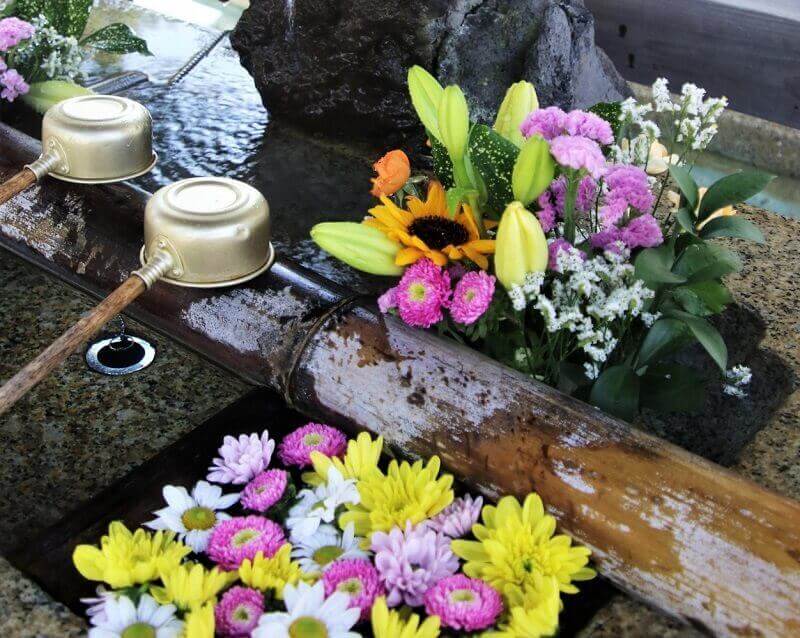 舞子六神社の花手水