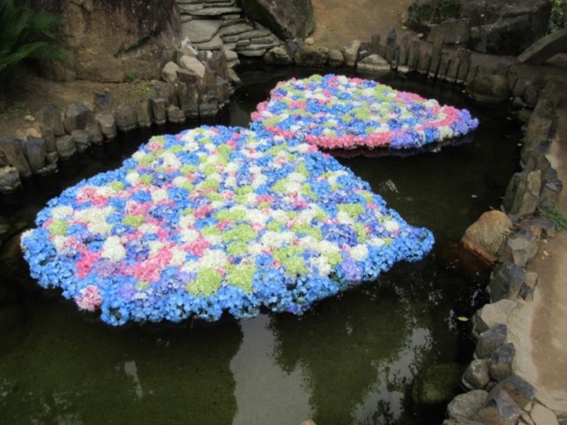 茨城県で見ることのできる 花手水一覧 いつおで