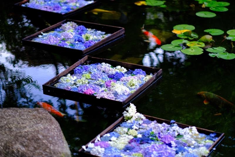 神奈川県で見ることのできる 花手水17スポットを紹介 いつおで