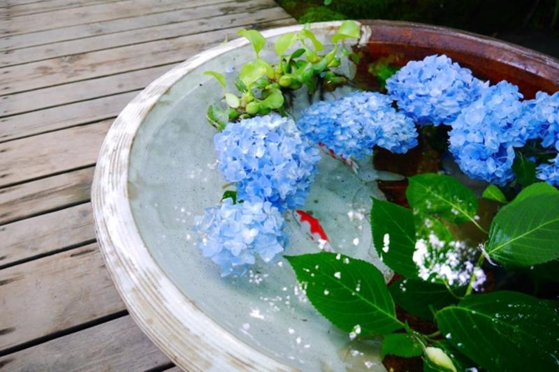 神奈川県で見ることのできる 花手水17スポットを紹介 いつおで