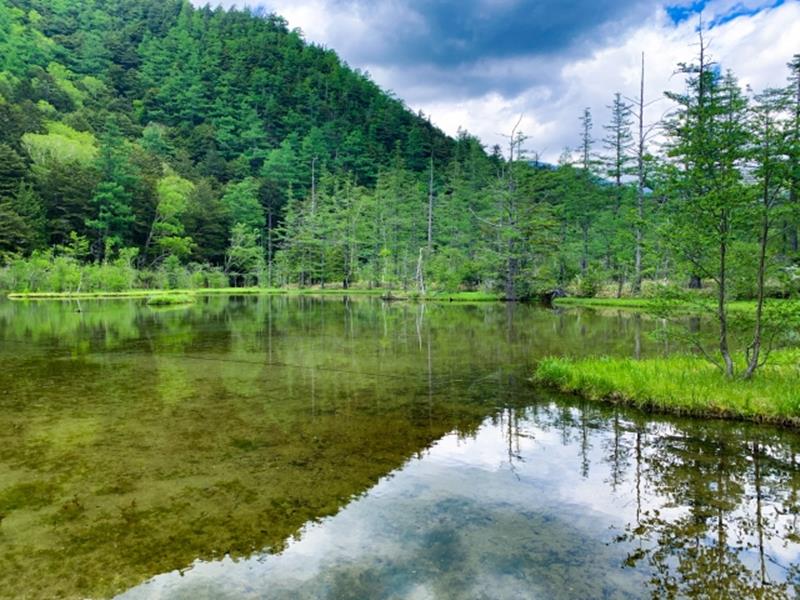 長野県で見ることのできる 花手水一覧 いつおで