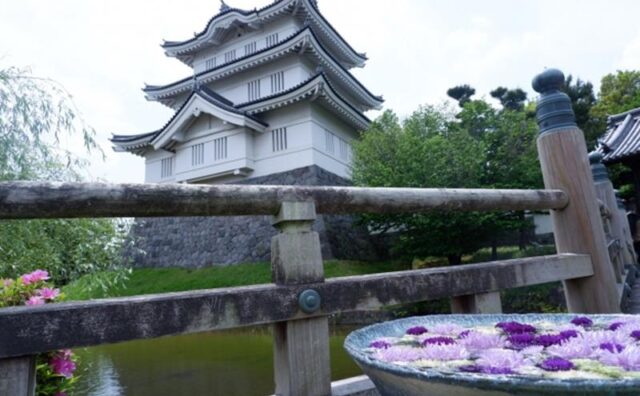 川越市で見ることのできる 花手水24か所を紹介 いつおで