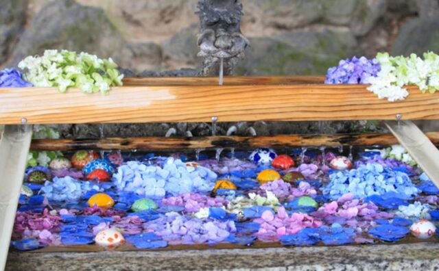 長野県で見ることのできる 花手水一覧 いつおで