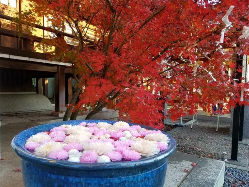 行田市の花手水のブログ画像