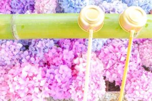新潟県の花手水のブログ画像