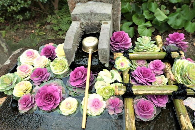 猫神神社​（仙巌園）の花手水