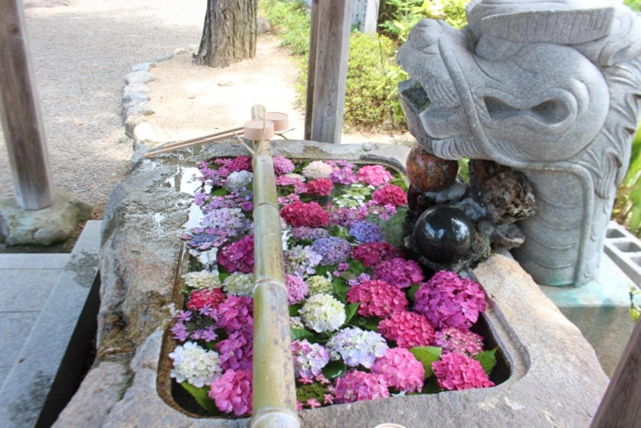 藤田神社の花手水