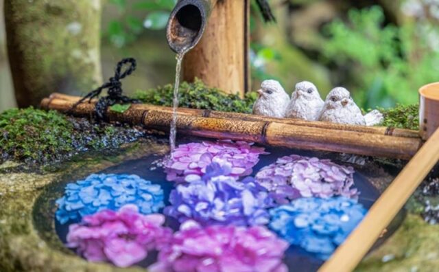 奈良県で見ることのできる 花手水一覧 いつおで