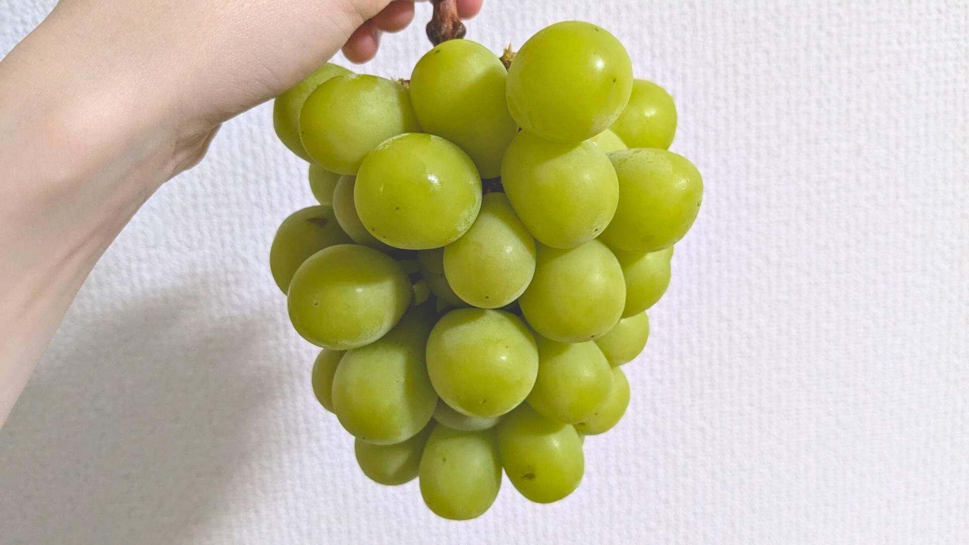 【写真付き】リピしたい！買ってよかったふるさと納税10選