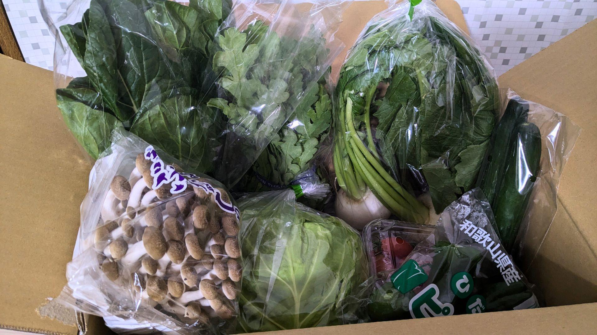 【写真付き】リピしたい！買ってよかったふるさと納税10選