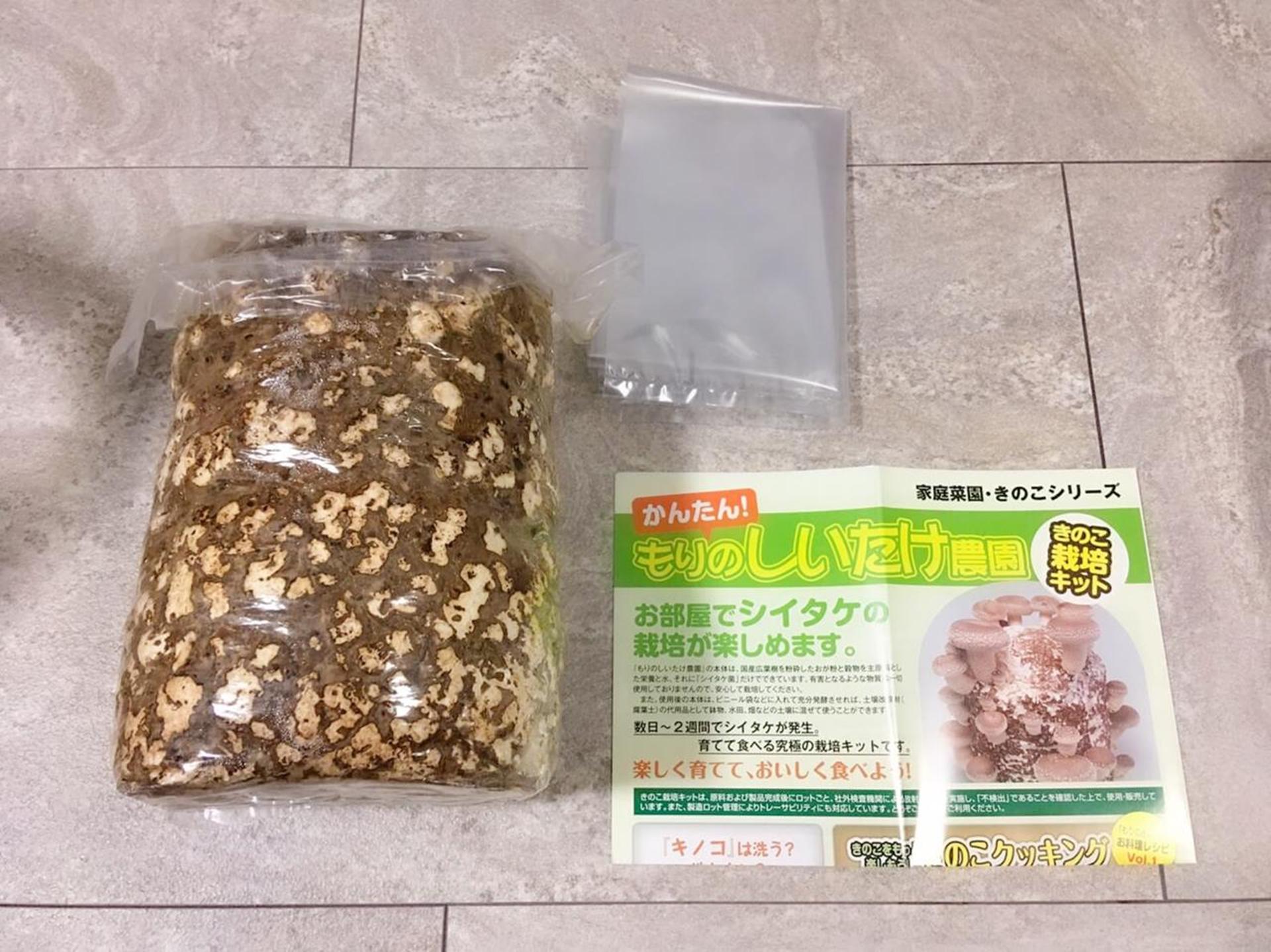 「もりのしいたけ農園」栽培記録。初心者でも100本採れました