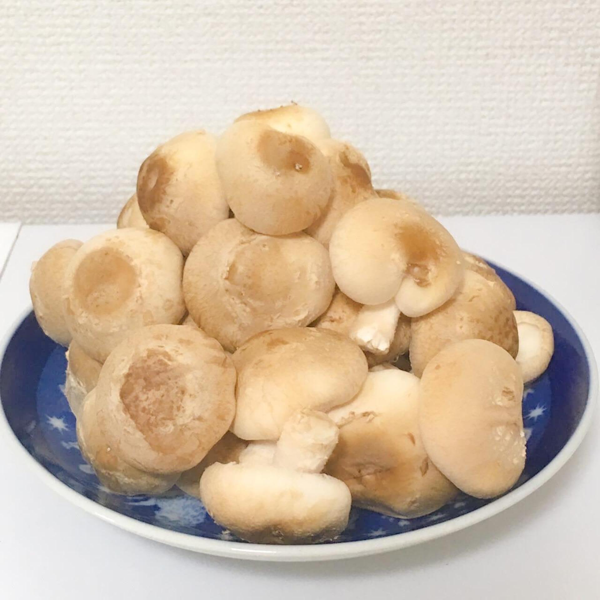 「もりのしいたけ農園」栽培記録。初心者でも100本採れました